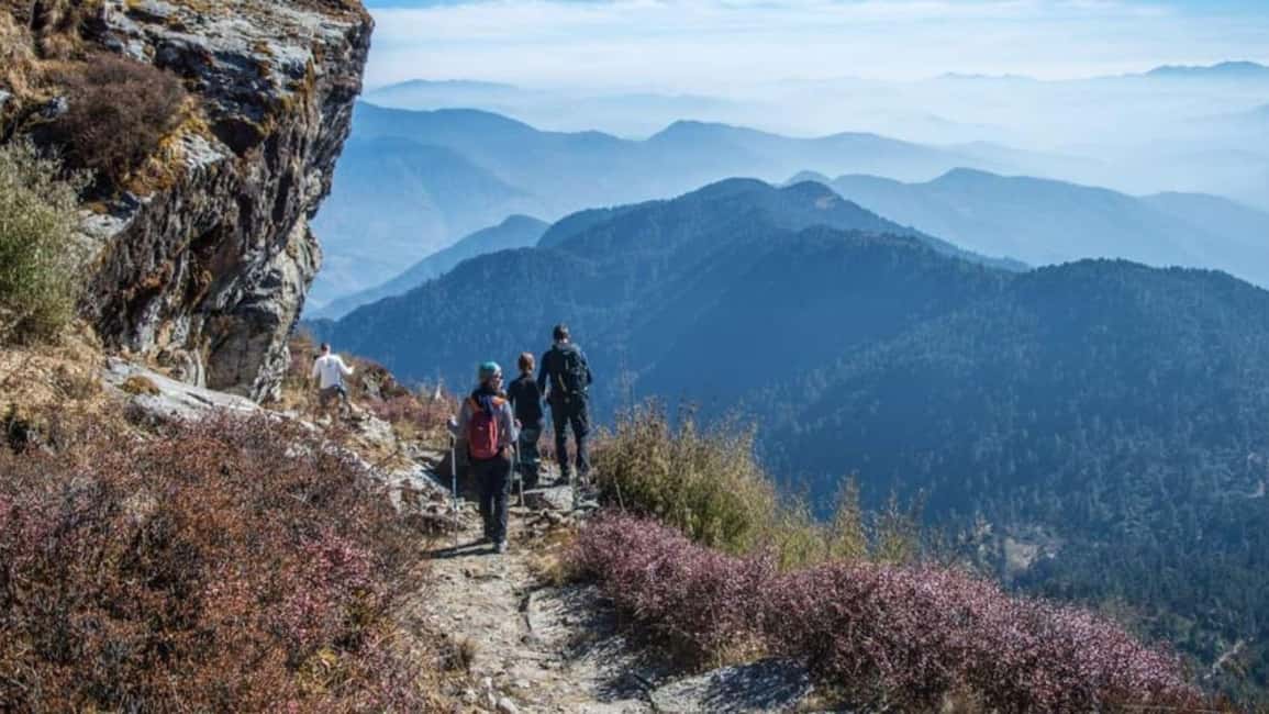 image n.36 of Scenic Adventure: 2-Day Private POON HILL Trek from Pokhara activity in Pashchimanchal, Western Region, uploaded by supplier