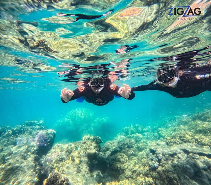 afbeelding n.37 van Airlie Beach: Whitehaven Beach Dagtour met snorkeloptie activiteit in Queensland, geüpload door aanbieder
