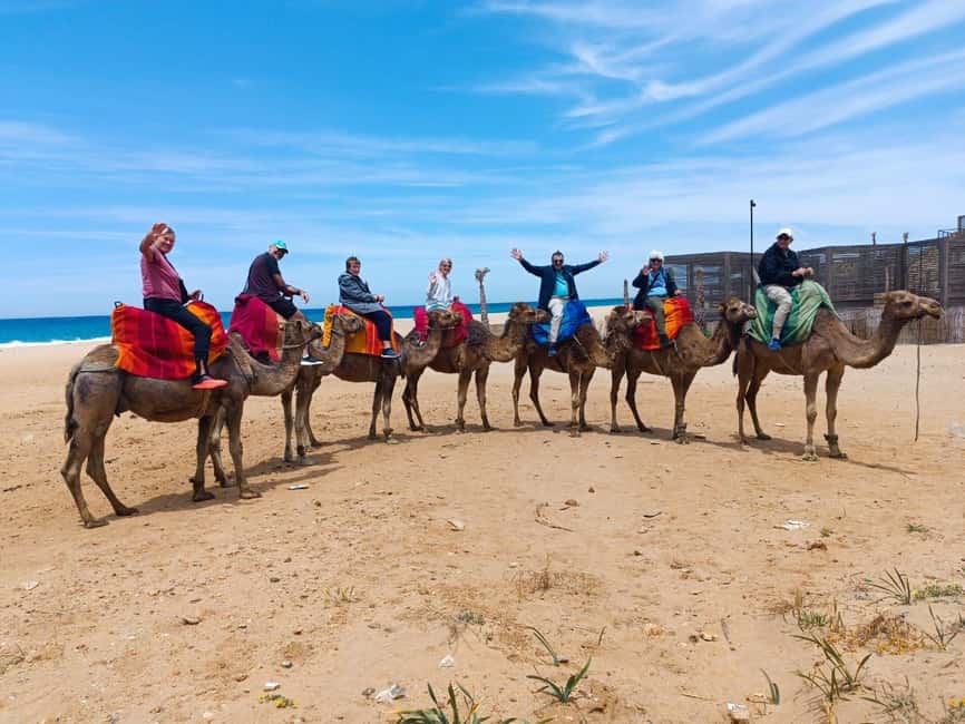 imagen n.º 30 de Desde Tánger: Excursión de día completo a Tánger, Asilah y Cabo Espartel actividad en Tánger, subida por el proveedor