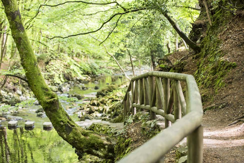 imagem n.14 de Faz uma caminhada pela floresta de Tollymore: Game of Thrones - Caminhada na Floresta de Tollymore atividade em Condado de Down, carregada pelo fornecedor