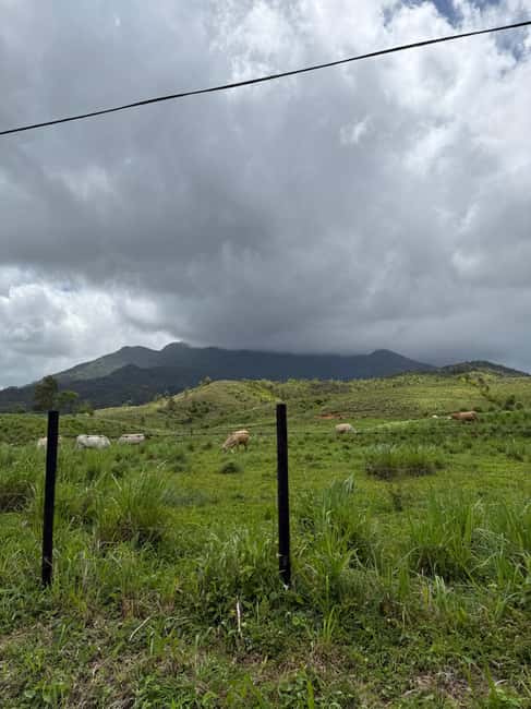 image n.9 of San Juan: El Yunque Half-Day Guided Tour with Transportation activity in Río Grande, Puerto Rico, uploaded by supplier