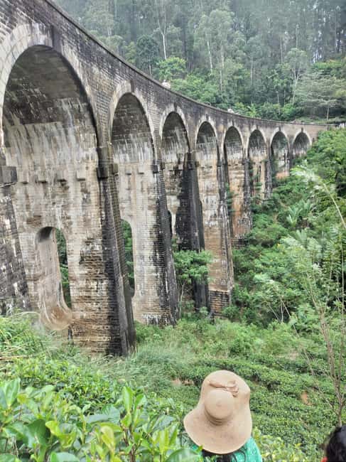 From Ella: Ella Unfogettable Day tour & Train Ride Tour | GetYourGuide