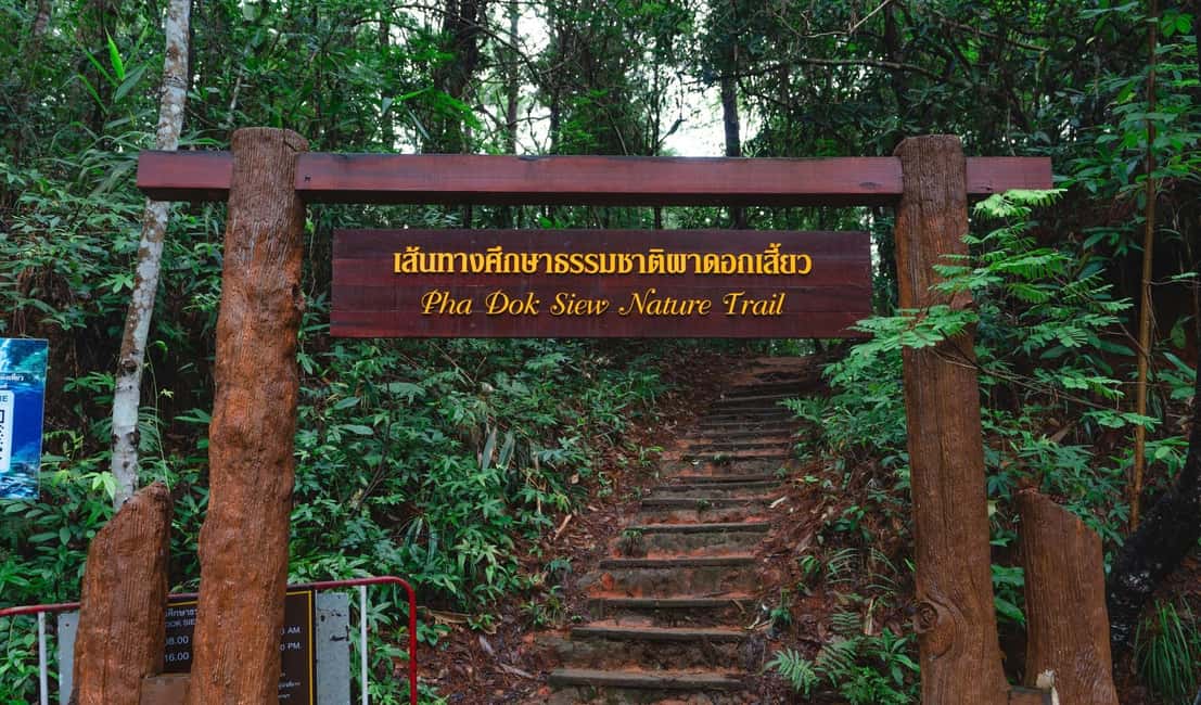 image n.38 of Chiang Mai: Doi Inthanon Trip with Pha Dok Siew Guided Trek activity in Chiang Mai, uploaded by supplier