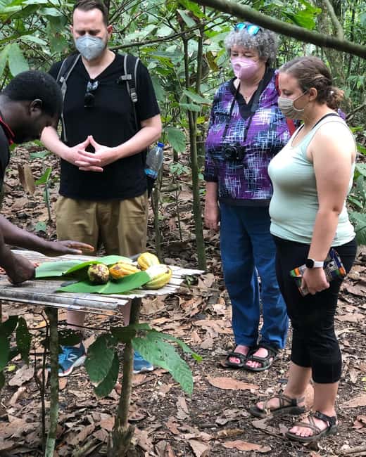 image n.3 of Aburi Botanical Gardens, Cocoa Farm & Boti Falls Day Tour activity in Aburi, uploaded by supplier