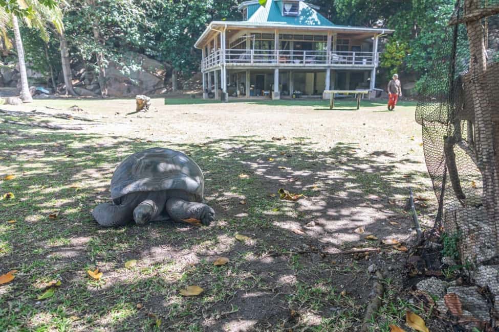image n.16 of Praslin: Sister & Coco Island Full-Day Cruise and Creole BBQ activity in Mahé, uploaded by supplier