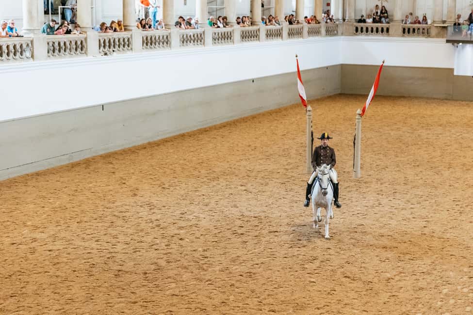 Image N°8 de Vienne : Formation à l'école d'équitation espagnole activité à Vienne, publiée par le prestataire