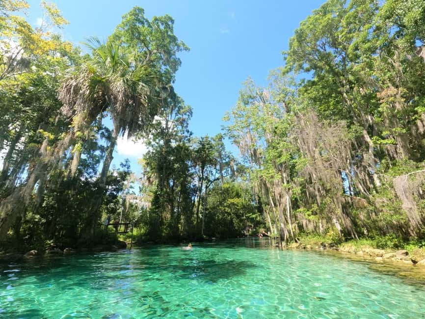 image n.15 of Crystal River: Kayak Rental activity in Crystal River, uploaded by supplier