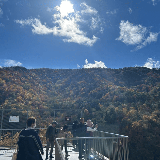 Immagine nº 9 di Tokyo: Tour privato imperdibile di Nikko, patrimonio dell'umanità dell'Unesco attività a Nikkō, caricata dal fornitore