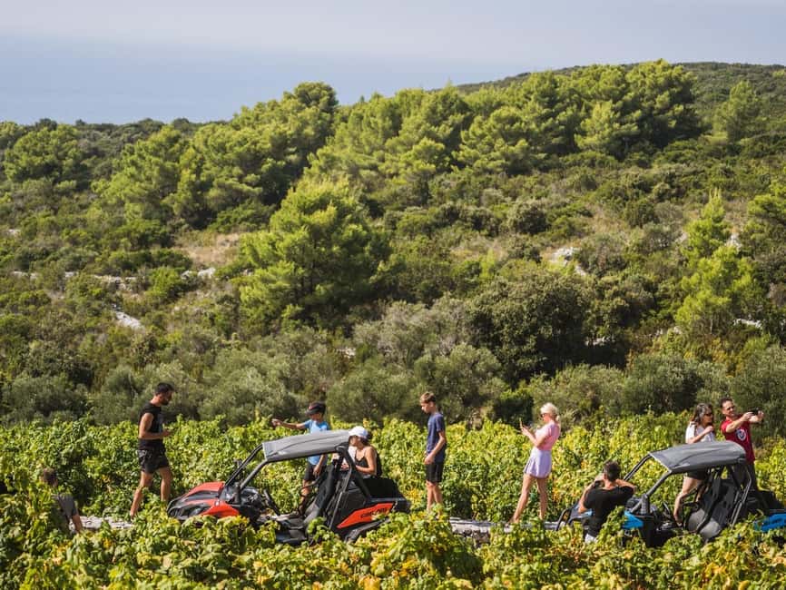 image n.5 of Korcula Buggy Safari With Wine Tasting activity in Korčula, uploaded by supplier