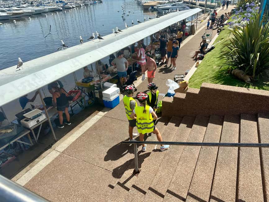 Immagine nº 4 di Tour in bicicletta Penisola - Punta del Este attività a Punta del Este, caricata dal fornitore