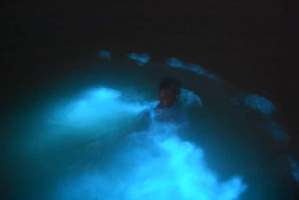 imagem n.3 de De Montego Bay: Tour noturno pela Lagoa Luminosa atividade em Falmouth, carregada pelo fornecedor