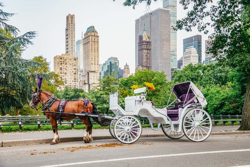 Bild Nr. 1 von NYC: Geführte Kutschfahrt im Central Park Aktivität in New York, hochgeladen vom Anbieter