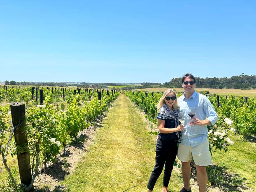 Immagine nº 6 di Amanti del vino - Divertente degustazione di vini fuori Punta del Este! attività a Punta del Este, caricata dal fornitore