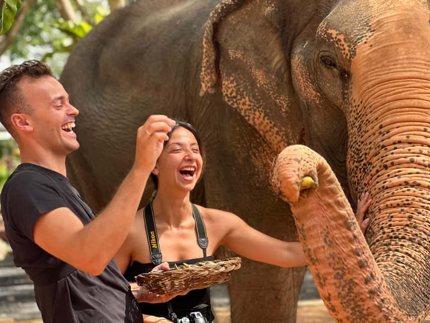 image n.18 of Koh Samui: Ethical Elephant Home Guided Tour with Transfers activity in Surat Thani City, uploaded by supplier