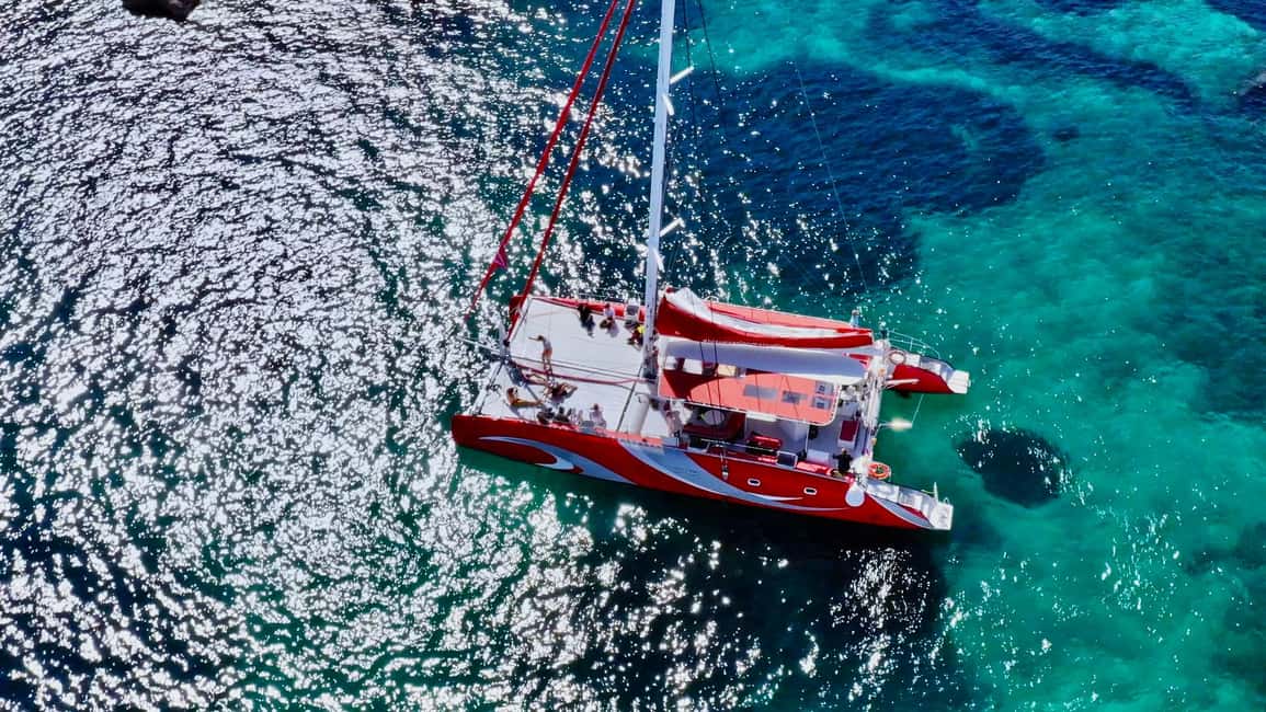 imagen n.º 12 de Marsella : Crucero en Catamarán por las Calanques con Comida y Vino actividad en Sur de Francia, subida por el proveedor