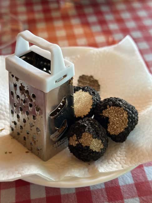 image n.9 of Private Truffle‑Hunting Tour from Belgrade – Lunch with Wine activity in Belgrade, uploaded by supplier
