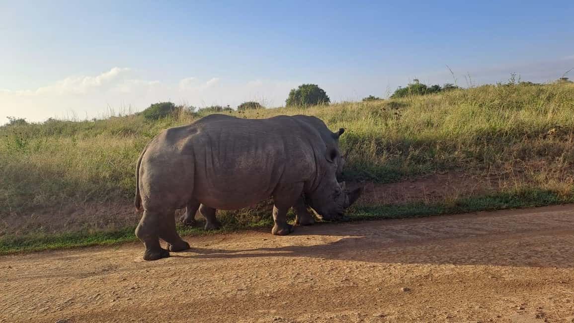 image n.12 of 6-Day kenya safari to Amboseli and Tsavo west & East. activity in Coast Province, uploaded by supplier