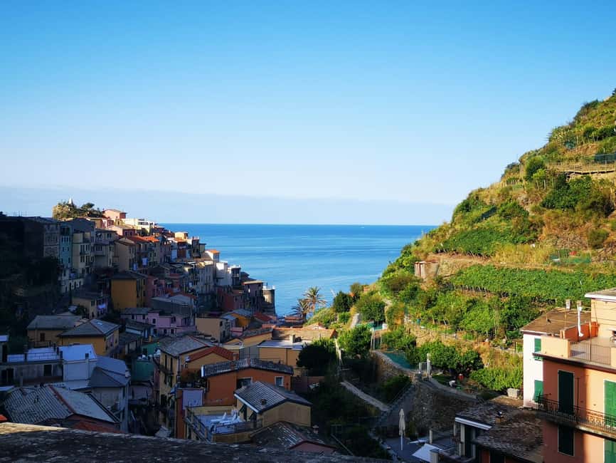 Immagine nº 41 di Da Firenze: Tour per piccoli gruppi alle Cinque Terre e a Pisa attività a Pisa, caricata dal fornitore