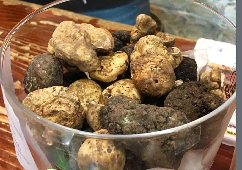 Immagine nº 9 di Istria: tour guidato dell'Istria interna con degustazione di cibo attività a Istarska, caricata dal fornitore