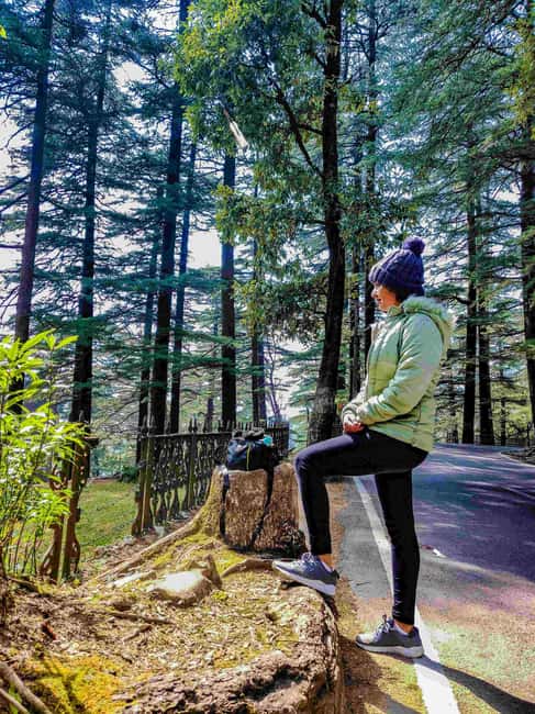 image n.8 of Dharamsala Half Day Sightseeing Tour activity in Himachal Pradesh, uploaded by supplier