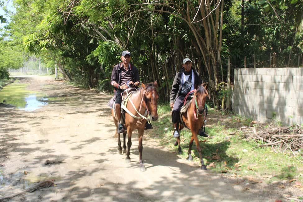 image n.4 of Beach horse back riding with countryside activity in Puerto Plata Province, uploaded by supplier