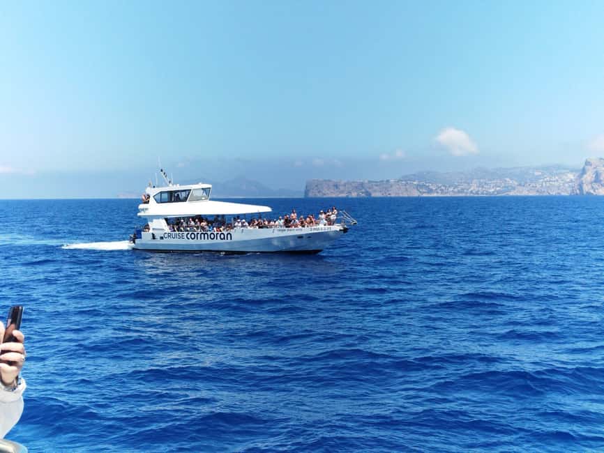 Bild Nr. 17 von Von Palma: 3-stündige Bootstour zur Delfinbeobachtung am Morgen Aktivität in Palma de Mallorca, hochgeladen vom Anbieter