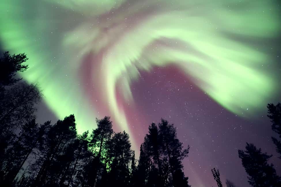 bild nr.18 av Rovaniemi: Aurora jakttur med fotografering med Van aktivitet i Rovaniemi, uppladdad av arrangören