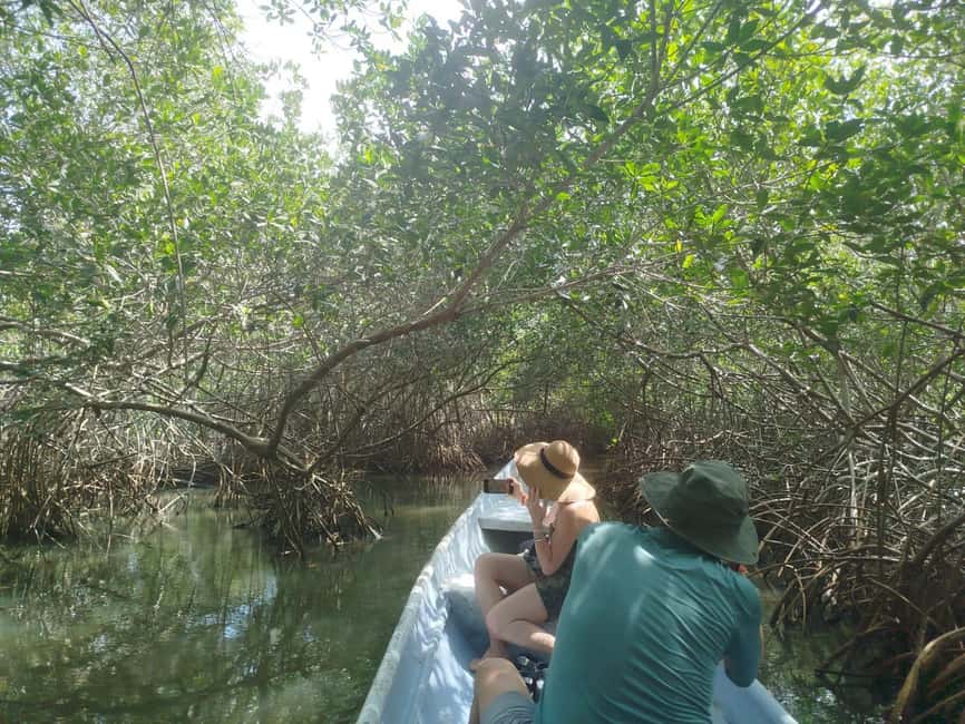 image n.74 of Cartagena: Private Sail in the mangrove GUIDE in ENGLISH activity in Cartagena, uploaded by supplier
