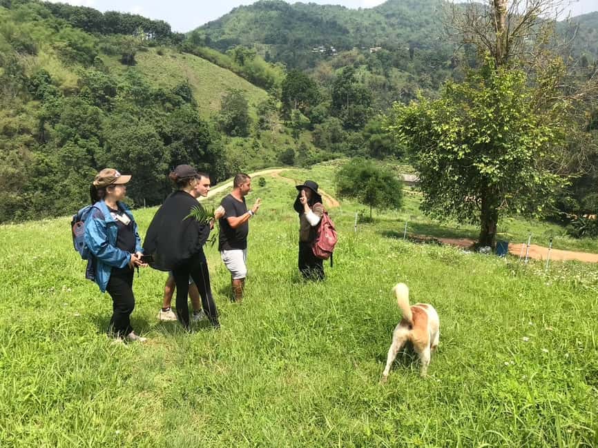 image n.14 of Chiang Rai Trek: 4 Hilltribes Villages & Waterfall Only Walk activity in Chiang Rai, uploaded by supplier