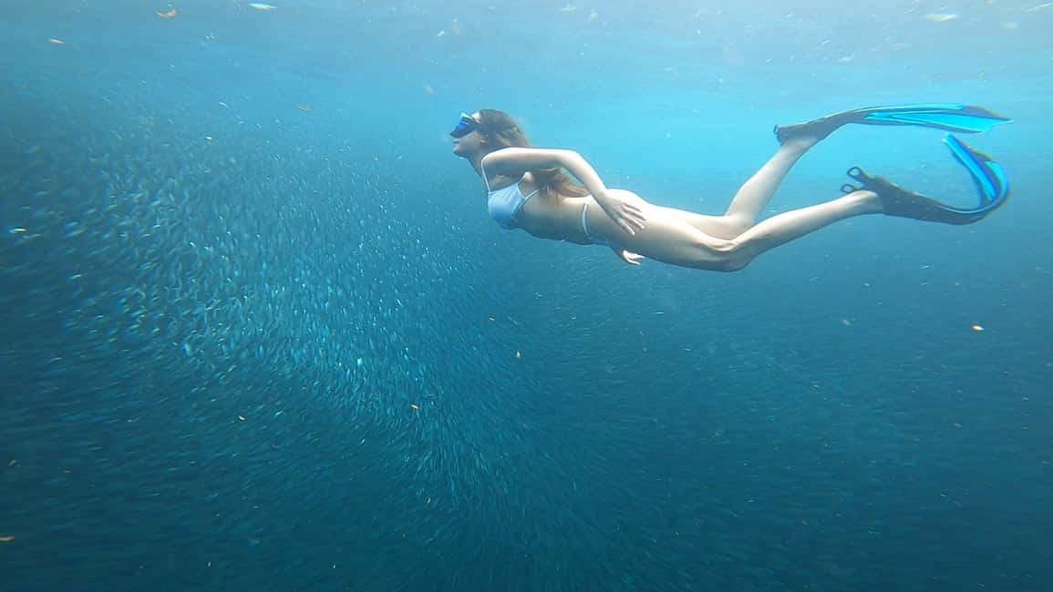 imagem n.13 de Cebu: tubarões-baleia, cataratas de Kawasan e mergulho com snorkel em Sardines Run atividade em Badian, carregada pelo fornecedor