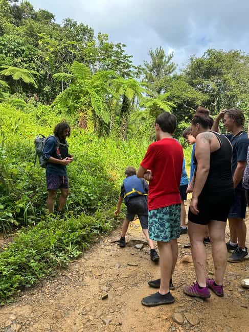 billede nr.31 af aktiviteten Fajardo: Guidet eventyr i El Yunque-skoven i Río Grande, Puerto Rico, uploadet af udbyder
