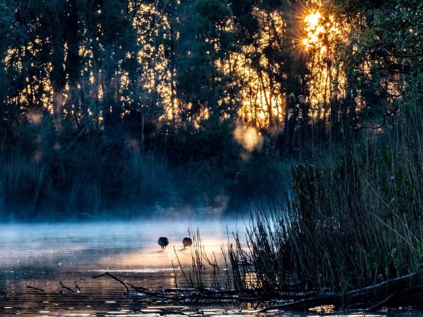 imagen n.º 8 de Biesbosch: Crucero en barco por el Parque Nacional actividad en Drimmelen, subida por el proveedor