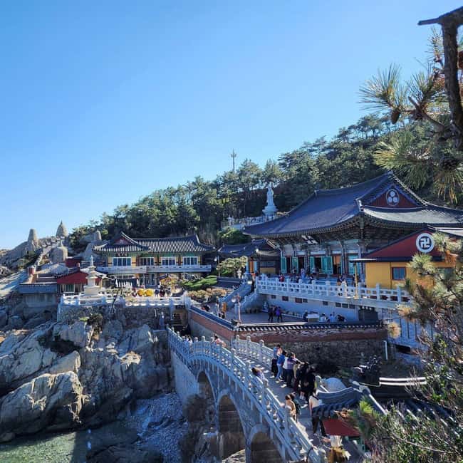 image n.18 of Busan: Gamcheon Village and Haeundae Blueline Park Tour activity in Busan, uploaded by supplier