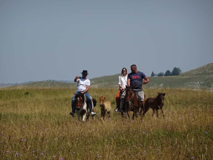 image n.17 of From Podgorica: Durmitor NP & Tara canyon-Amazing Montenegro activity in Žabljak, uploaded by supplier
