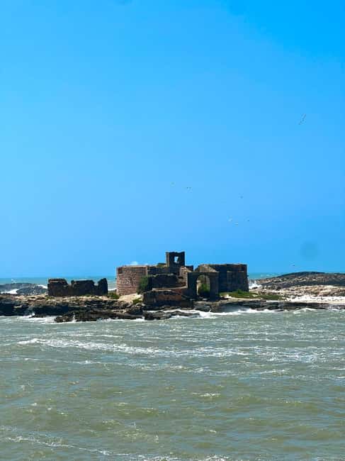 image n.21 of Day trip to Essaouira activity in Essaouira, uploaded by supplier