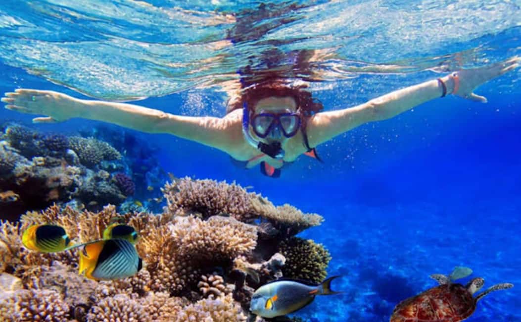 imagem n.5 de Lovina/Bali: Visita de observação de golfinhos, natação e snorkeling atividade em Lovina, carregada pelo fornecedor