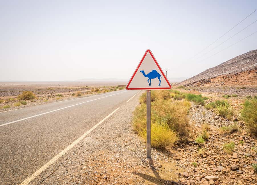 billede nr.21 af aktiviteten Casablanca: 6-dages tur til Marrakech via Fes og Merzouga-klitterne i Casablanca, uploadet af udbyder