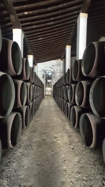 image n.6 of Jerez de la Frontera: Sherry Winery Tour with Tasting activity in Jerez de la Frontera, uploaded by supplier