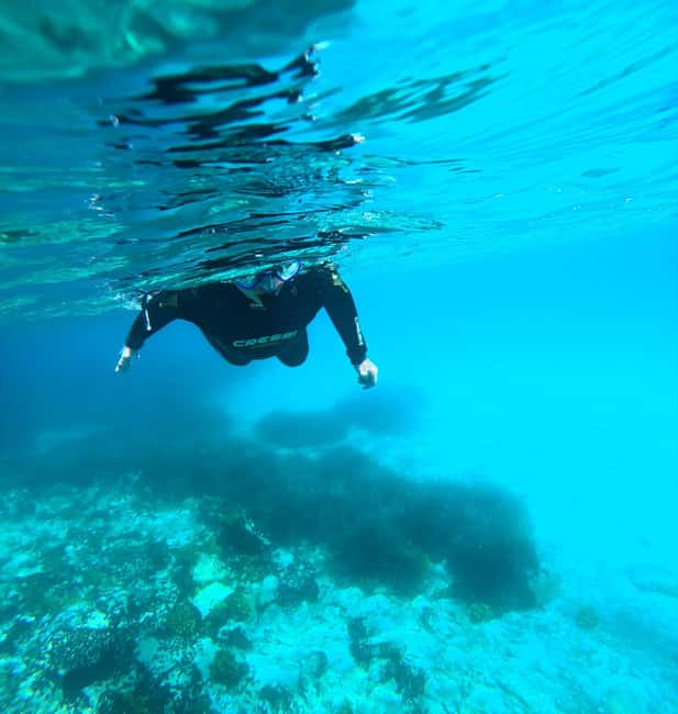 image n.2 of Chalkidiki: Snorkeling Adventure in Sithonia activity in Sithonia, uploaded by supplier