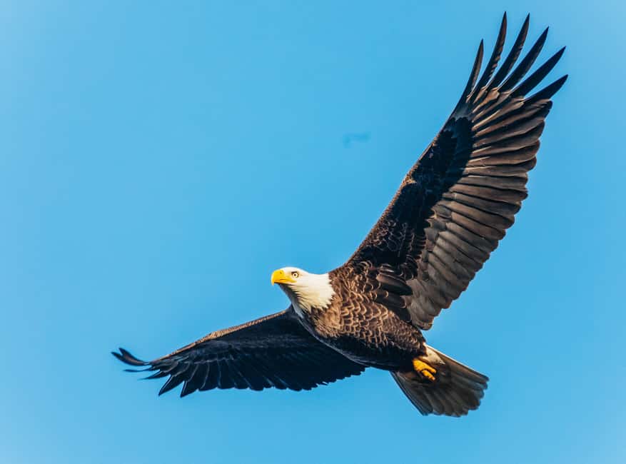 image n.5 of South Lake Tahoe: Sightseeing Cruise of Emerald Bay activity in California, uploaded by supplier