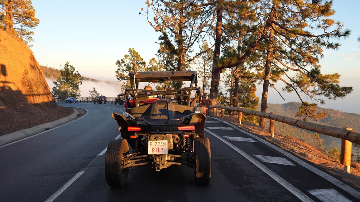 billede nr.6 af aktiviteten Tenerife: Guidet buggytur i Teide Nationalpark i Arona, Tenerife, uploadet af udbyder