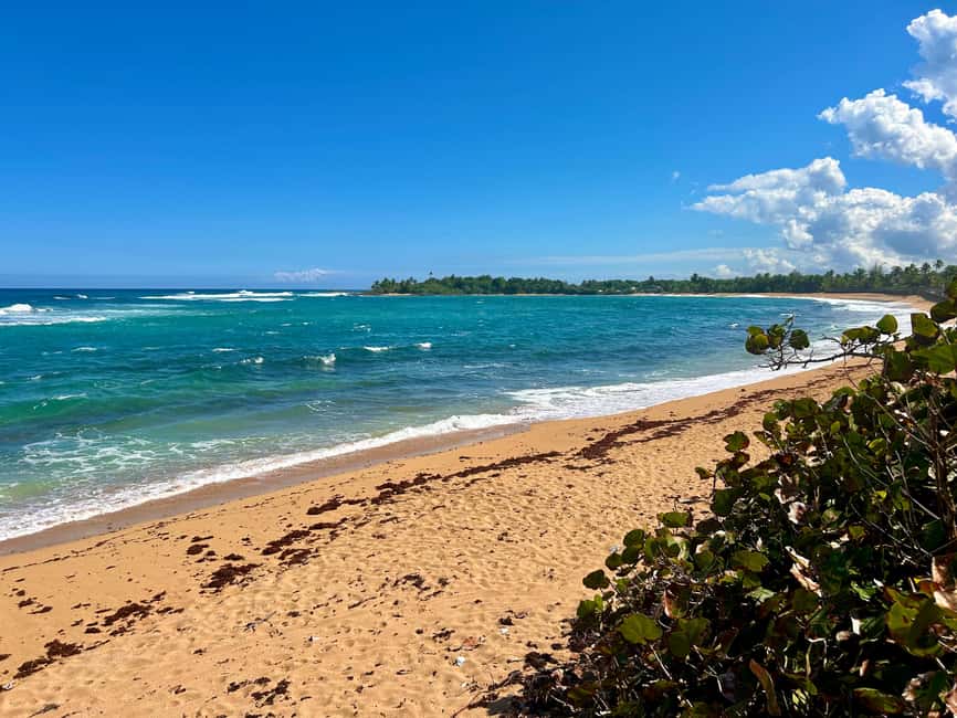 Obraz nr 7 z atrakcji Z San Juan: Pinones Beach & Bar Hopping - wycieczka kulinarna w San Juan, przesłany przez organizatora