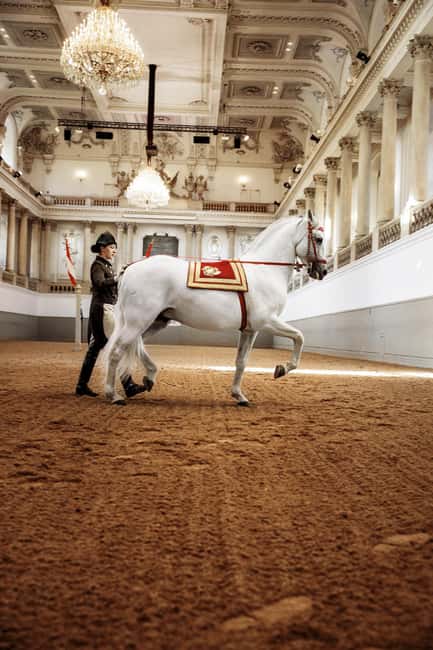 image n.6 of Performance Of The Lipizzans At Spanish Riding School activity in Vienna, uploaded by supplier