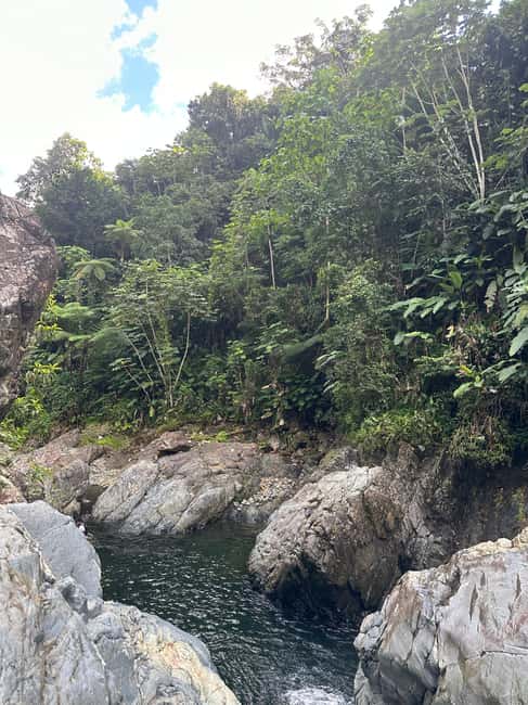 billede nr.28 af aktiviteten Fajardo: Guidet eventyr i El Yunque-skoven i Río Grande, Puerto Rico, uploadet af udbyder