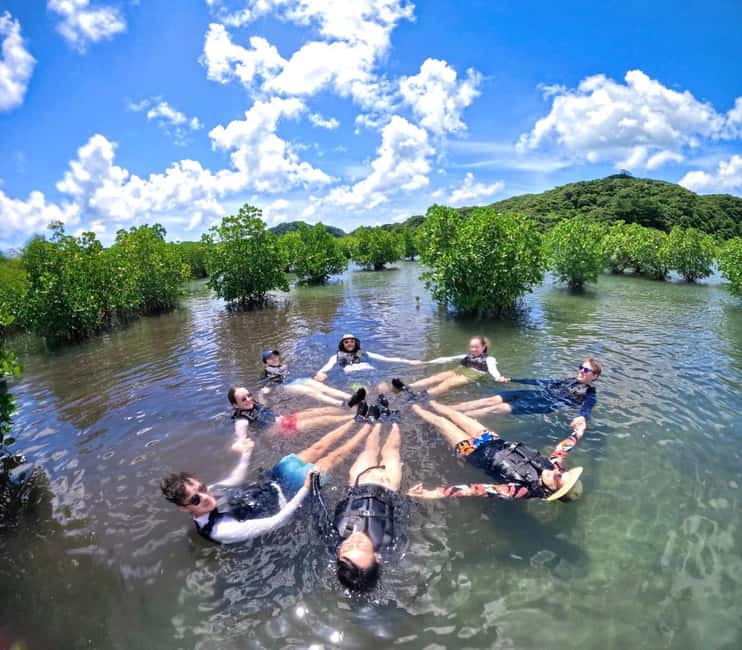 image n.8 of Iriomote island: Mangrove River SUP or Canoe Cruising Tour activity in Taketomi Island, uploaded by supplier