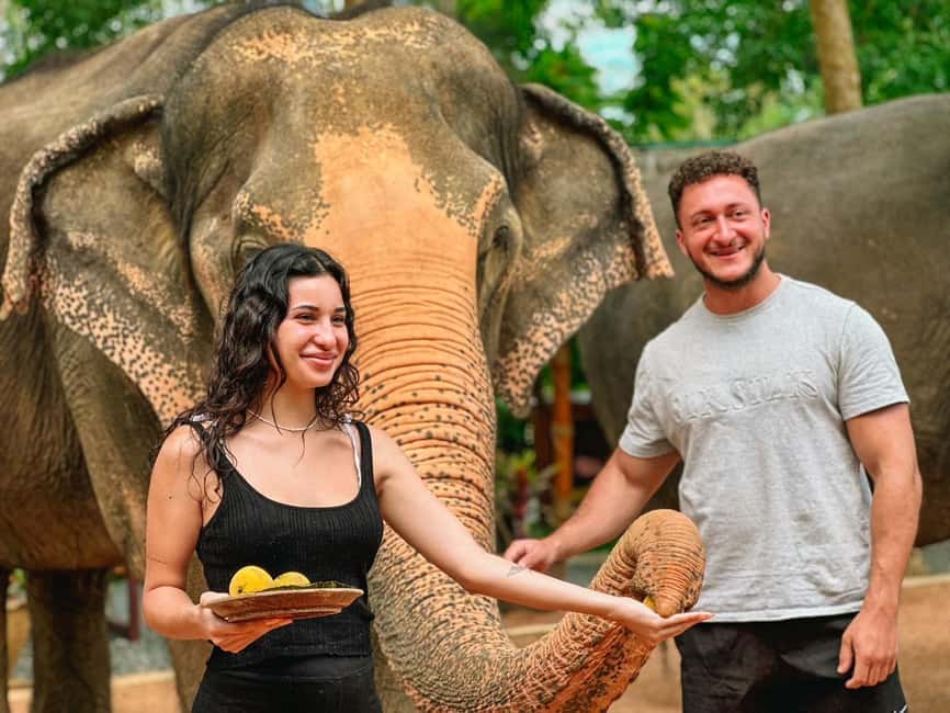 image n.9 of Koh Samui: Ethical Elephant Home Guided Tour with Transfers activity in Surat Thani City, uploaded by supplier