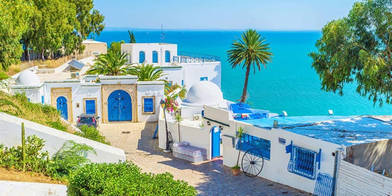 Image N°13 de Depuis Hammamet, Sousse : Bardo, Médina, Carthage, Sidi BouSaid activité à Tunis, publiée par le prestataire