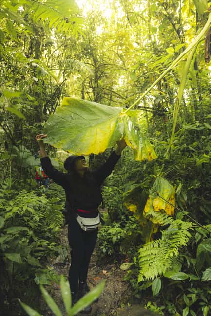 image n.6 of From Medellin Waterfalls: Guided Hiking Tour in Nature activity in Medellin, uploaded by supplier