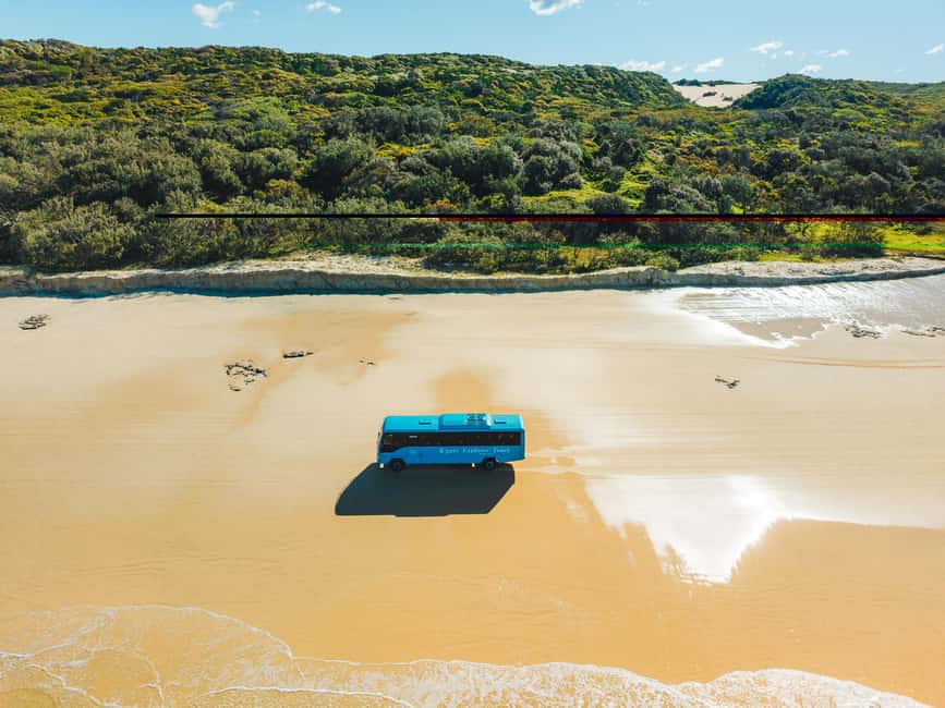 imagen n.º 8 de Desde Hervey Bay K'gari, excursión de un día entero en autocar por la Isla Fraser actividad en Queensland, subida por el proveedor