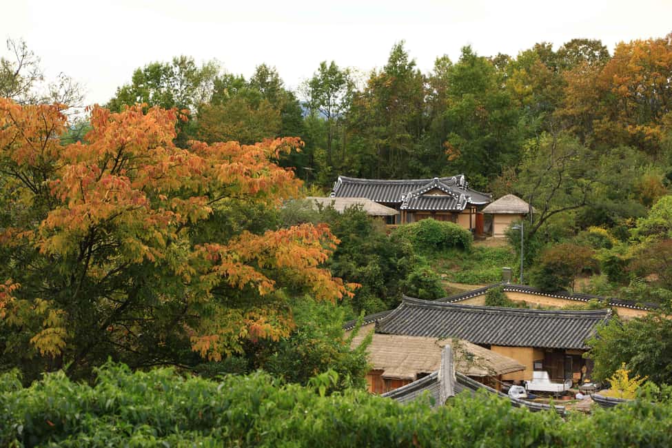 Image N°14 de Au départ de Busan : visite guidée d'une journée à Gyeongju, patrimoine mondial de l'UNESCO activité à Gyeongju, publiée par le prestataire